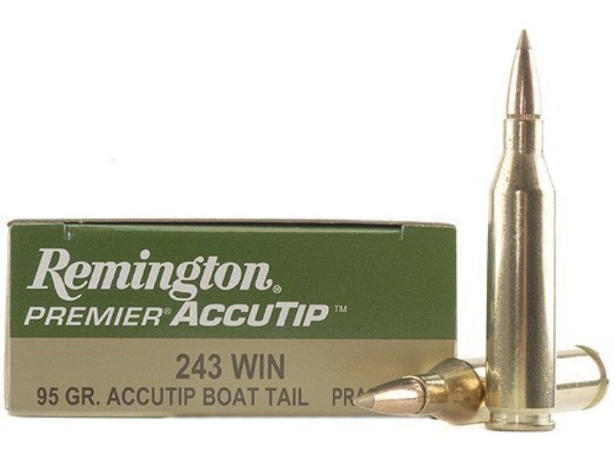 .243Win. Remington Premier 6,16g/95gr - AccuTip BT