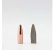 Strely Hornady Varmint .224 3,9g/60grs - SP, 2270_1